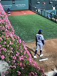 Click image for larger version

Name:	IMG_1479.jpg
Views:	36
Size:	1.12 MB
ID:	567802