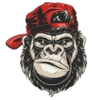 DotVaDa's Avatar